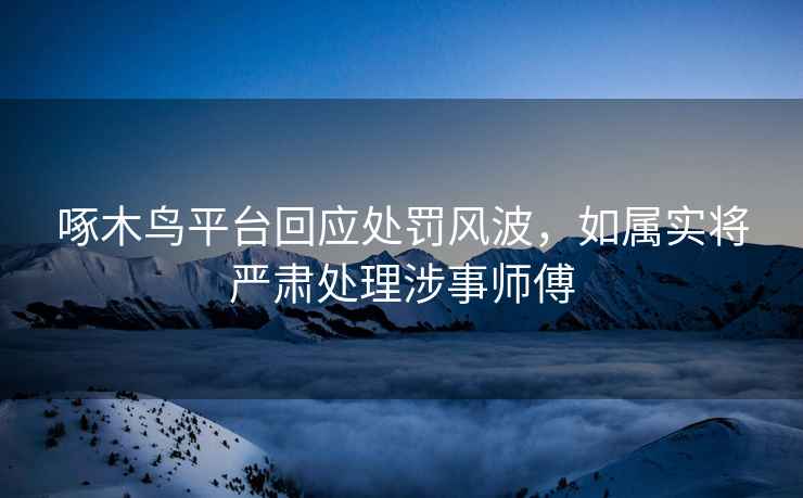啄木鳥平臺回應(yīng)處罰風(fēng)波，如屬實將嚴(yán)肅處理涉事師傅