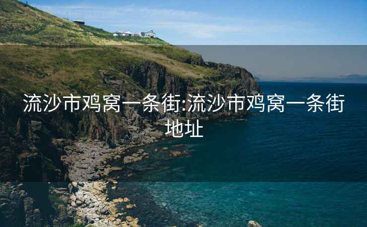 流沙市雞窩一條街:流沙市雞窩一條街地址