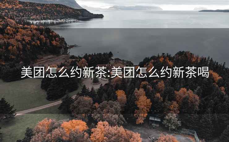美團怎么約新茶:美團怎么約新茶喝