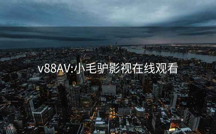 v88AV:小毛驢影視在線觀看