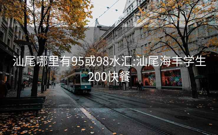 汕尾哪里有95或98水匯:汕尾海豐學(xué)生200快餐