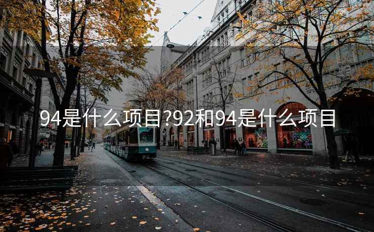 94是什么項(xiàng)目?92和94是什么項(xiàng)目