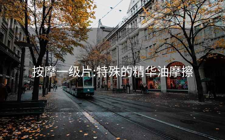 按摩一級(jí)片:特殊的精華油摩擦