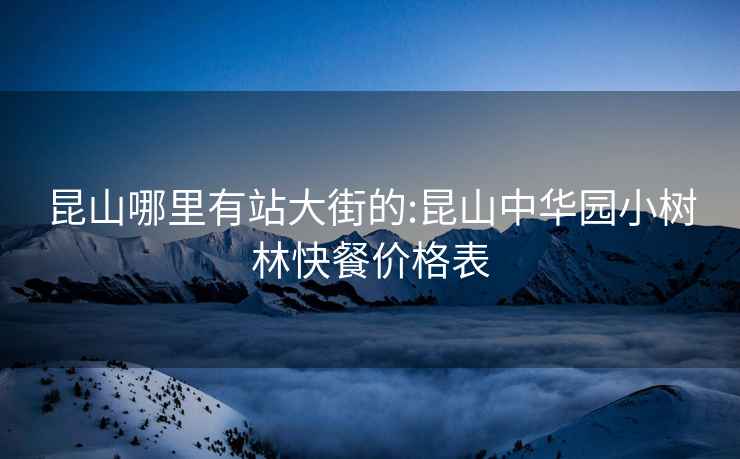 昆山哪里有站大街的:昆山中華園小樹林快餐價(jià)格表
