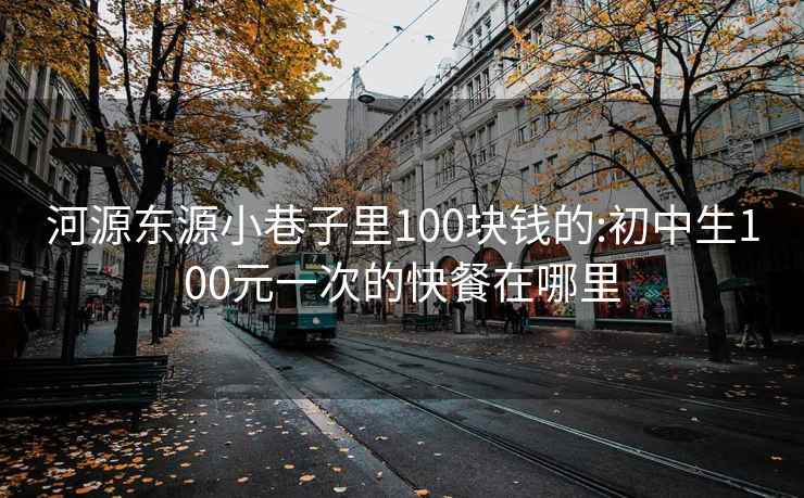 河源東源小巷子里100塊錢的:初中生100元一次的快餐在哪里