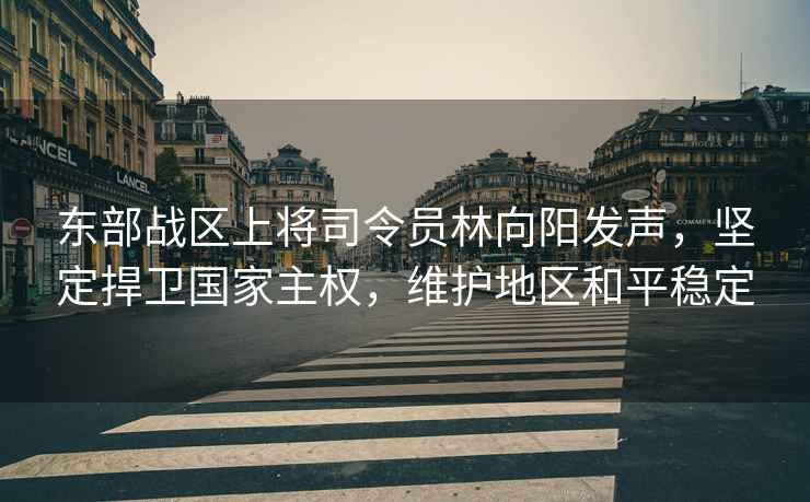 東部戰(zhàn)區(qū)上將司令員林向陽(yáng)發(fā)聲，堅(jiān)定捍衛(wèi)國(guó)家主權(quán)，維護(hù)地區(qū)和平穩(wěn)定