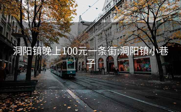 洞陽鎮(zhèn)晚上100元一條街:洞陽鎮(zhèn)小巷子