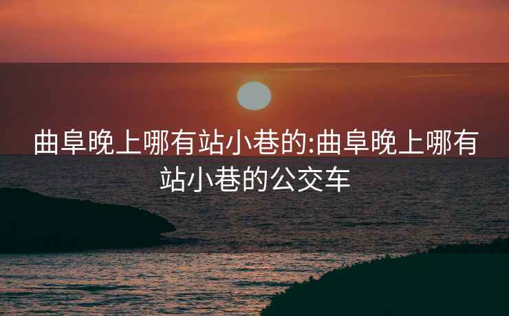 曲阜晚上哪有站小巷的:曲阜晚上哪有站小巷的公交車