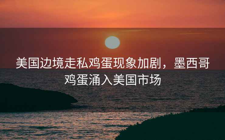 美國(guó)邊境走私雞蛋現(xiàn)象加劇，墨西哥雞蛋涌入美國(guó)市場(chǎng)