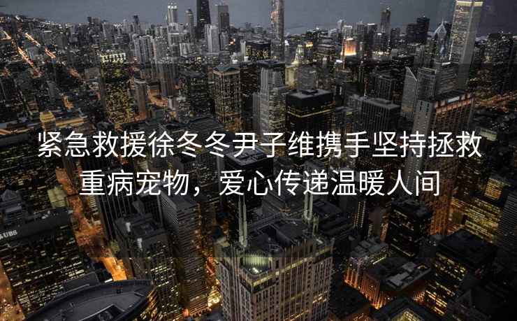 緊急救援徐冬冬尹子維攜手堅(jiān)持拯救重病寵物，愛(ài)心傳遞溫暖人間
