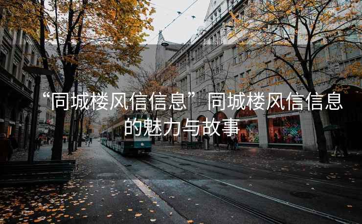 “同城樓風(fēng)信信息”同城樓風(fēng)信信息的魅力與故事