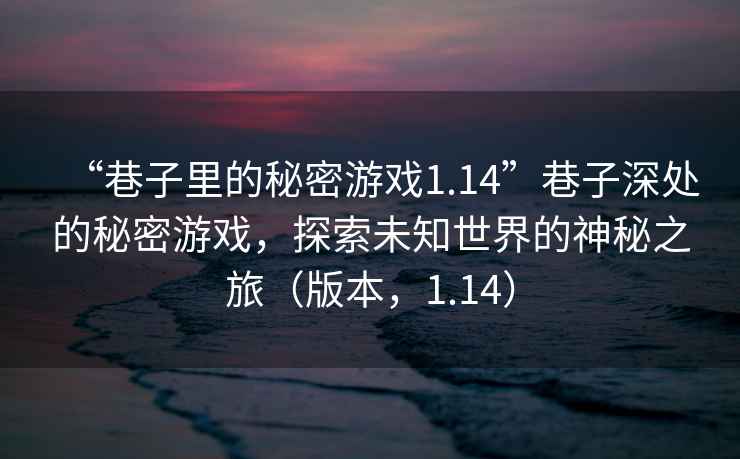 “巷子里的秘密游戲1.14”巷子深處的秘密游戲，探索未知世界的神秘之旅（版本，1.14）