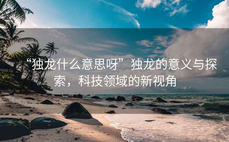 “獨(dú)龍什么意思呀”獨(dú)龍的意義與探索，科技領(lǐng)域的新視角