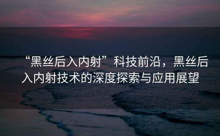 “黑絲后入內(nèi)射”科技前沿，黑絲后入內(nèi)射技術(shù)的深度探索與應(yīng)用展望