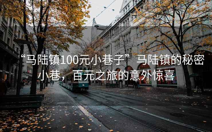 “馬陸鎮(zhèn)100元小巷子”馬陸鎮(zhèn)的秘密小巷，百元之旅的意外驚喜