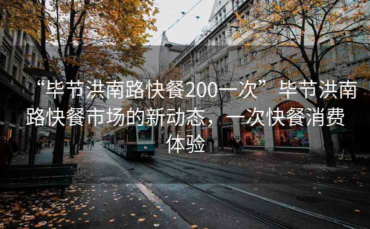 “畢節(jié)洪南路快餐200一次”畢節(jié)洪南路快餐市場的新動(dòng)態(tài)，一次快餐消費(fèi)體驗(yàn)