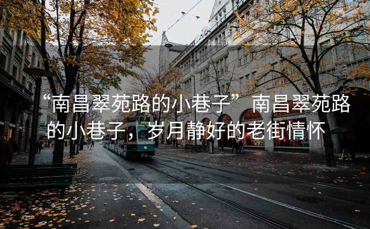 “南昌翠苑路的小巷子”南昌翠苑路的小巷子，歲月靜好的老街情懷