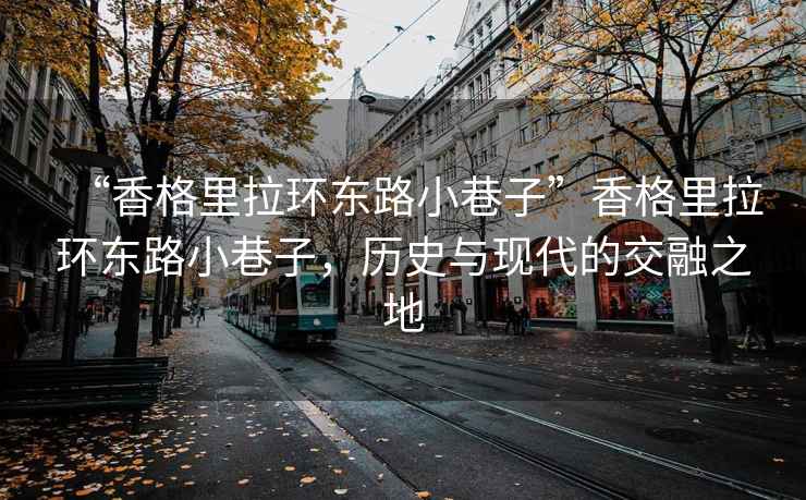 “香格里拉環(huán)東路小巷子”香格里拉環(huán)東路小巷子，歷史與現(xiàn)代的交融之地