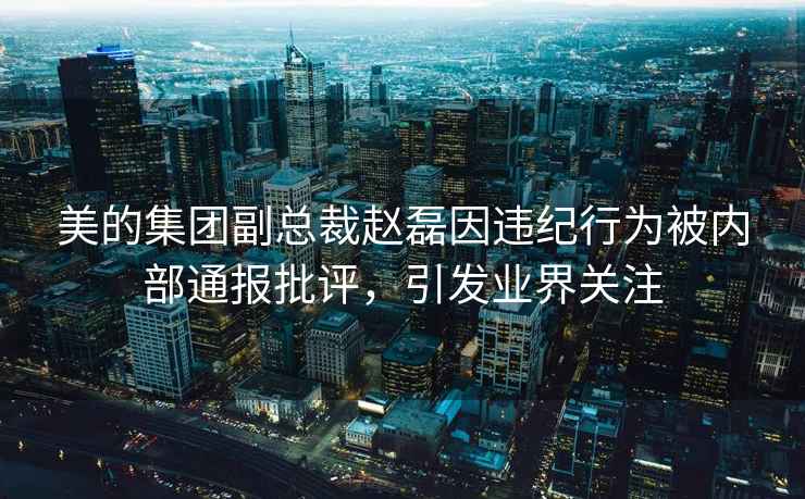 美的集團(tuán)副總裁趙磊因違紀(jì)行為被內(nèi)部通報批評，引發(fā)業(yè)界關(guān)注
