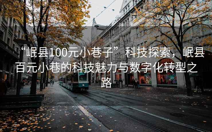 “岷縣100元小巷子”科技探索，岷縣百元小巷的科技魅力與數(shù)字化轉(zhuǎn)型之路