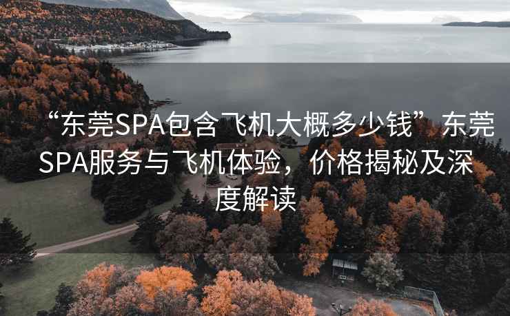 “東莞SPA包含飛機(jī)大概多少錢”東莞SPA服務(wù)與飛機(jī)體驗(yàn)，價(jià)格揭秘及深度解讀