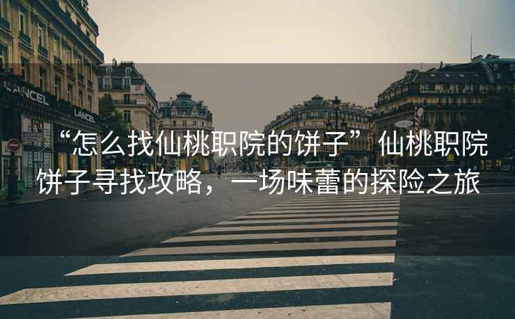 “怎么找仙桃職院的餅子”仙桃職院餅子尋找攻略，一場(chǎng)味蕾的探險(xiǎn)之旅