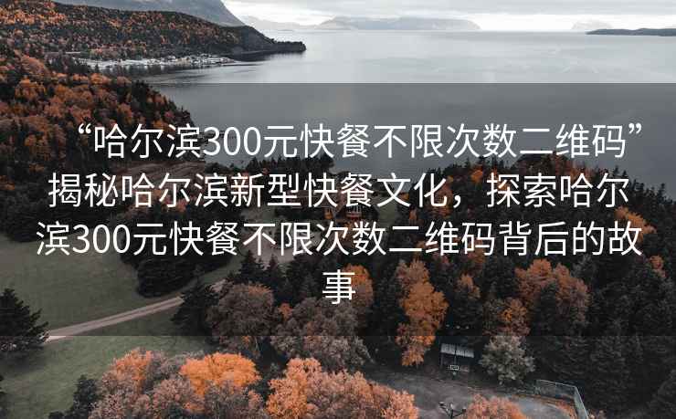 “哈爾濱300元快餐不限次數(shù)二維碼”揭秘哈爾濱新型快餐文化，探索哈爾濱300元快餐不限次數(shù)二維碼背后的故事