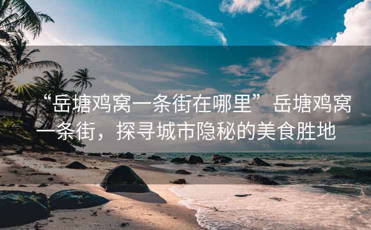 “岳塘雞窩一條街在哪里”岳塘雞窩一條街，探尋城市隱秘的美食勝地