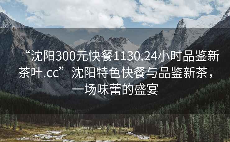 “沈陽300元快餐1130.24小時品鑒新茶葉.cc”沈陽特色快餐與品鑒新茶，一場味蕾的盛宴
