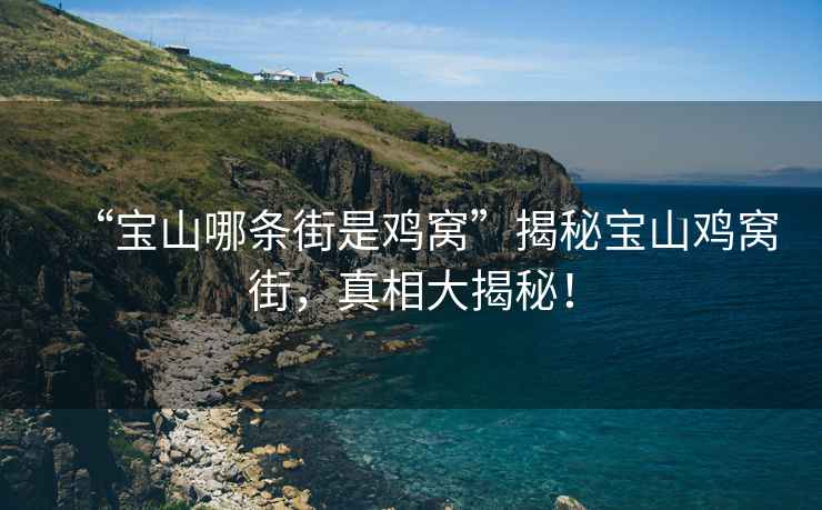 “寶山哪條街是雞窩”揭秘寶山雞窩街，真相大揭秘！