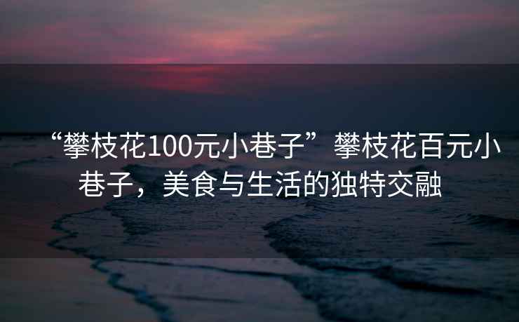 “攀枝花100元小巷子”攀枝花百元小巷子，美食與生活的獨特交融