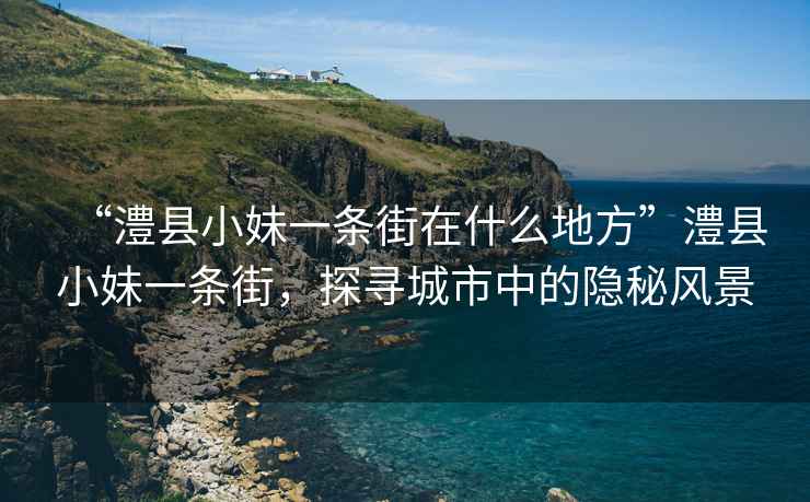 “澧縣小妹一條街在什么地方”澧縣小妹一條街，探尋城市中的隱秘風(fēng)景