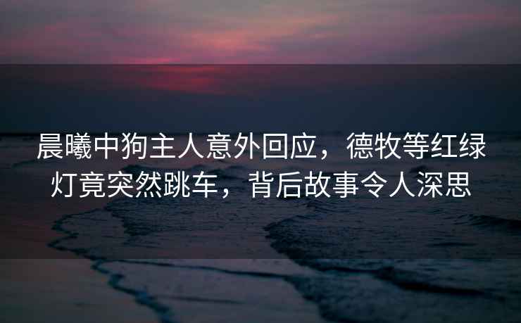 晨曦中狗主人意外回應(yīng)，德牧等紅綠燈竟突然跳車，背后故事令人深思