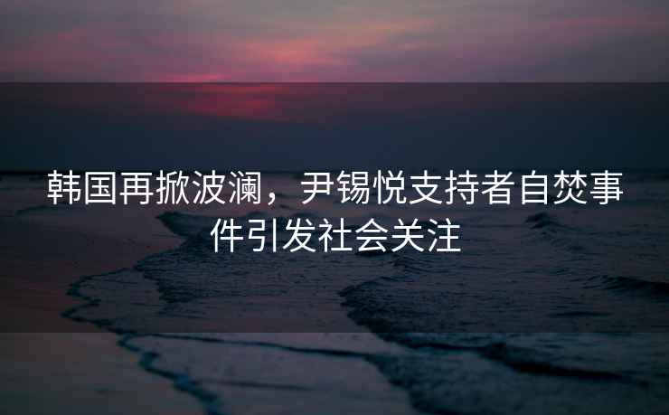 韓國再掀波瀾，尹錫悅支持者自焚事件引發(fā)社會關注