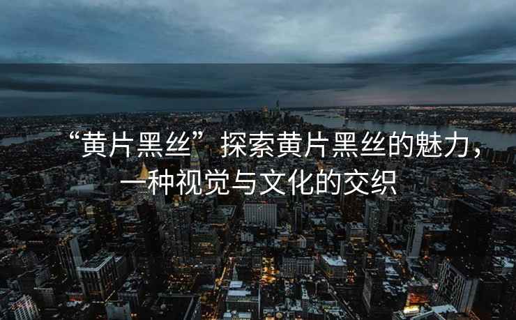 “黃片黑絲”探索黃片黑絲的魅力，一種視覺與文化的交織