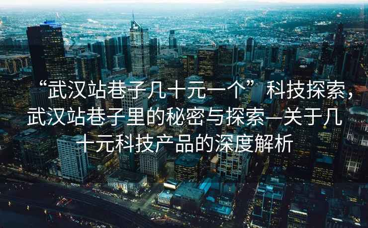 “武漢站巷子幾十元一個(gè)”科技探索，武漢站巷子里的秘密與探索—關(guān)于幾十元科技產(chǎn)品的深度解析