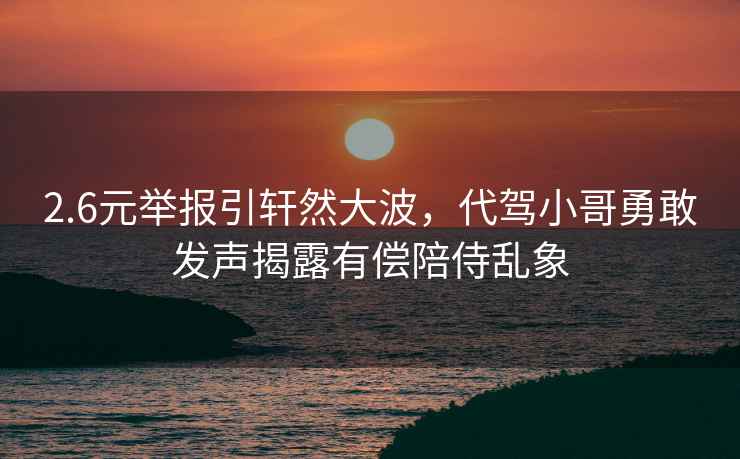 2.6元舉報引軒然大波，代駕小哥勇敢發(fā)聲揭露有償陪侍亂象