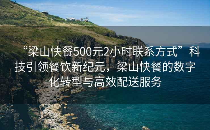 “梁山快餐500元2小時聯(lián)系方式”科技引領(lǐng)餐飲新紀(jì)元，梁山快餐的數(shù)字化轉(zhuǎn)型與高效配送服務(wù)