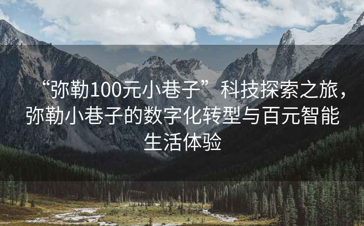 “彌勒100元小巷子”科技探索之旅，彌勒小巷子的數(shù)字化轉(zhuǎn)型與百元智能生活體驗(yàn)