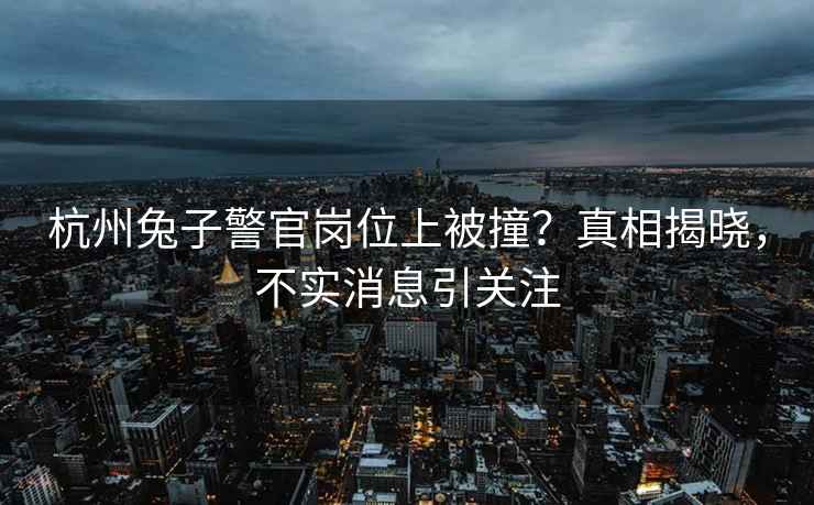 杭州兔子警官崗位上被撞？真相揭曉，不實消息引關注