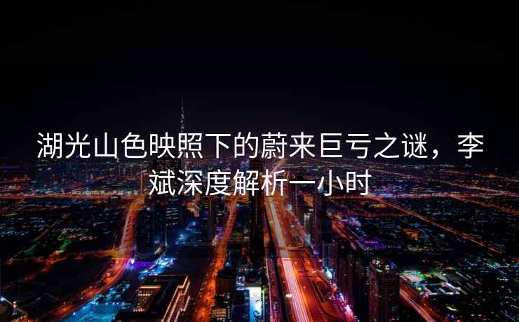 湖光山色映照下的蔚來巨虧之謎，李斌深度解析一小時