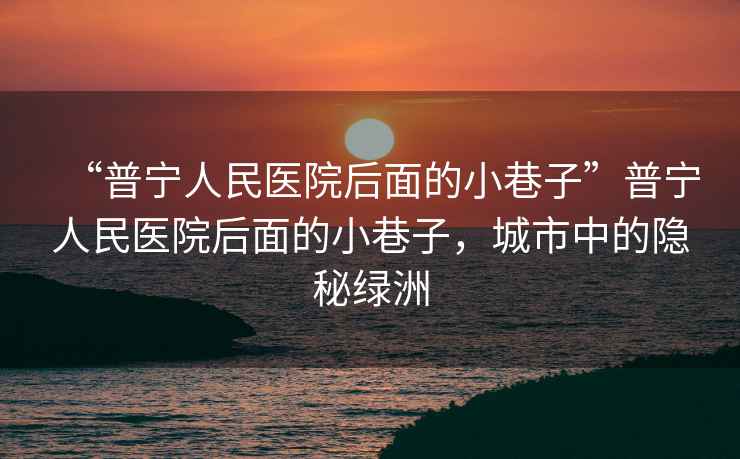 “普寧人民醫(yī)院后面的小巷子”普寧人民醫(yī)院后面的小巷子，城市中的隱秘綠洲