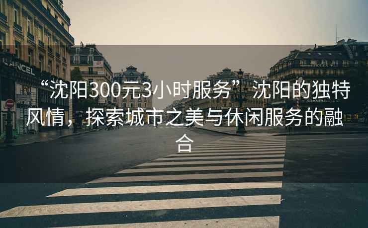 “沈陽300元3小時服務”沈陽的獨特風情，探索城市之美與休閑服務的融合