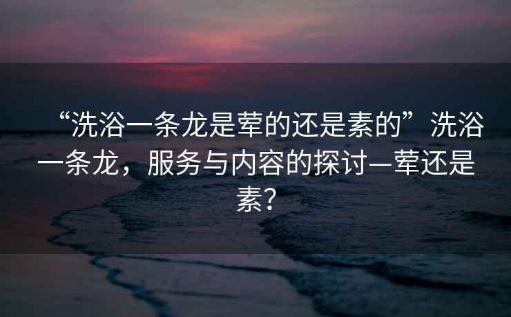 “洗浴一條龍是葷的還是素的”洗浴一條龍，服務(wù)與內(nèi)容的探討—葷還是素？
