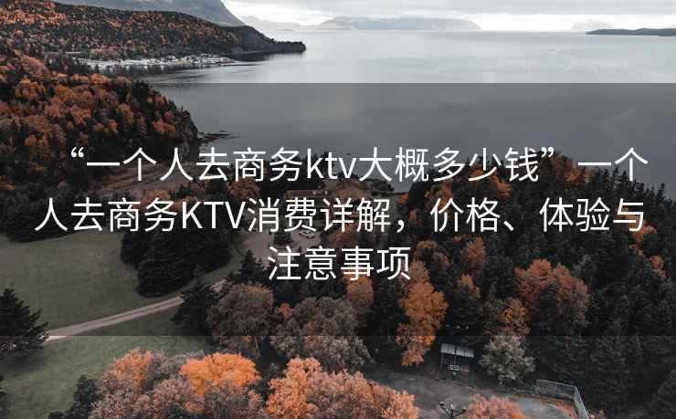 “一個(gè)人去商務(wù)ktv大概多少錢”一個(gè)人去商務(wù)KTV消費(fèi)詳解，價(jià)格、體驗(yàn)與注意事項(xiàng)