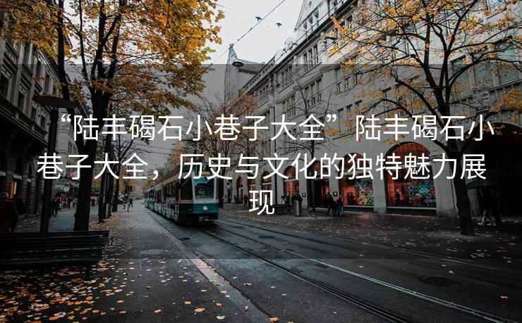 “陸豐碣石小巷子大全”陸豐碣石小巷子大全，歷史與文化的獨(dú)特魅力展現(xiàn)