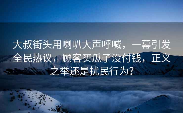 大叔街頭用喇叭大聲呼喊，一幕引發(fā)全民熱議，顧客買瓜子沒付錢，正義之舉還是擾民行為？