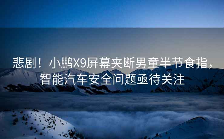 悲?。⌒※iX9屏幕夾斷男童半節(jié)食指，智能汽車安全問題亟待關(guān)注
