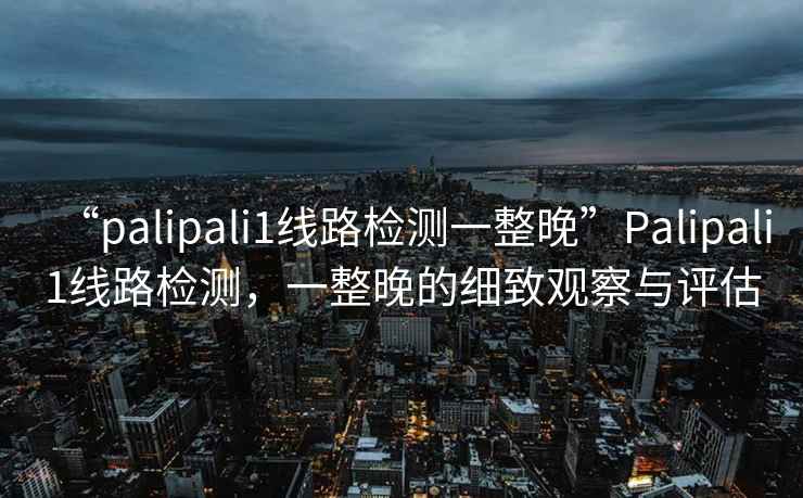 “palipali1線路檢測一整晚”Palipali1線路檢測，一整晚的細致觀察與評估