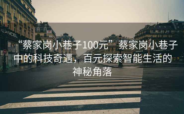 “蔡家崗小巷子100元”蔡家崗小巷子中的科技奇遇，百元探索智能生活的神秘角落